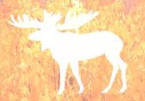 MischiefMoose's profile picture. Our Mischievous Moose General Store is located in Sandpoint, Idaho.  We specialize in handcrafted merchandise made locally and around the world.