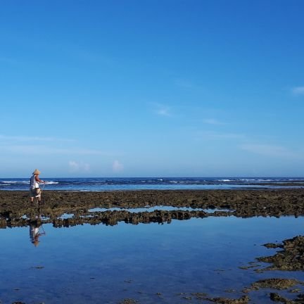 たまーにつぶやくのでよろしくお願いします☆沖縄、千葉、北海道