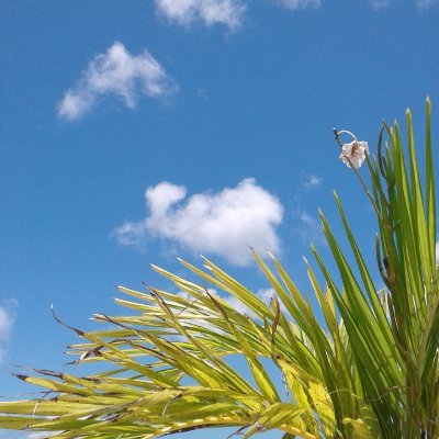 maimaiabcd1's profile picture. サイパンのリアルトークと日常を発信中。
ハイドレア仲間も よかったら遊びにきてね👇