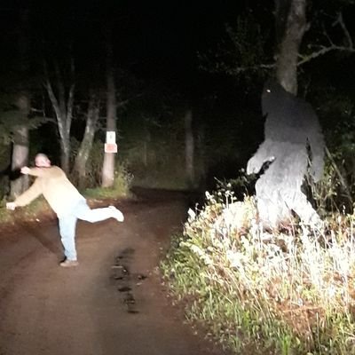 HoneyBea9584's profile picture. Biofreeze