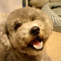 Atsuo Ishimoto (@atsuoishimoto) 's Twitter Profile Photo Atsuo Ishimoto (@atsuoishimoto) 's Twitter Profile Photo