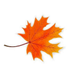 canadianpublicpolicynetwork (@canadianpublic1) Twitter profile photo canadianpublicpolicynetwork (@canadianpublic1) Twitter profile photo