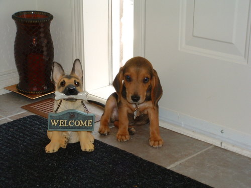 anitasequeira's profile picture. 