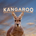 Kangaroo The Movie (@kangaroomovie) Twitter profile photo Kangaroo The Movie (@kangaroomovie) Twitter profile photo