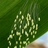 al2wono's profile image