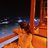 Saraellous's profile image
