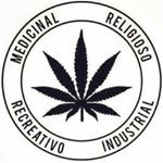 🍁 Rei do Kank💨 (@reidokank4i20) 's Twitter Profile