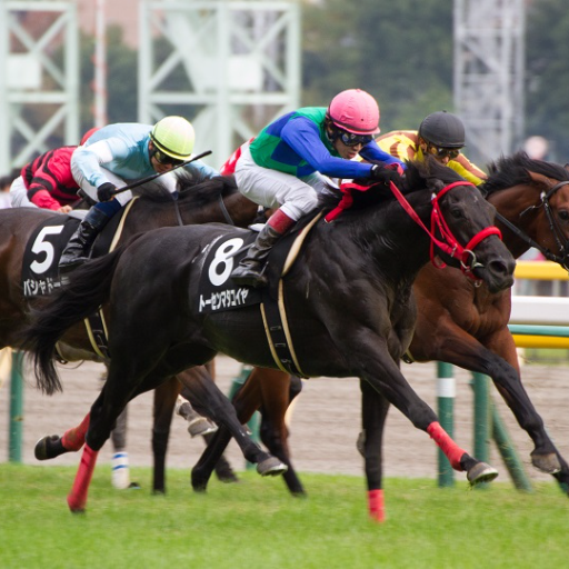 sima54625058's profile picture. 趣味は競馬です🐎地方競馬もやります！