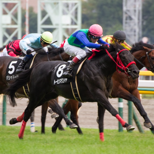 趣味は競馬です🐎地方競馬もやります！