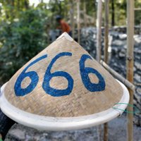 thetrvekvli (@pemvdagalav) Twitter profile photo