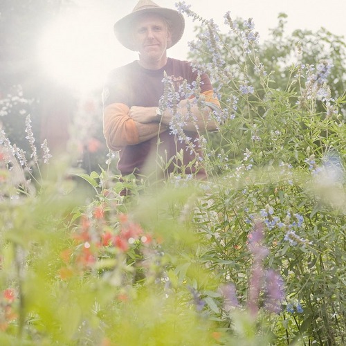 AndriesFoltz's profile picture. Specialiteitenkwekerij + tuinen in Noord-NL. O.m. collecties Salvia, Echinacea en rariteiten. Andries Bierling schrijft, Bob Foltz choreografeert op @bobstee.