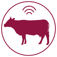 D4Dairy (@d4dairy) 's Twitter Profile