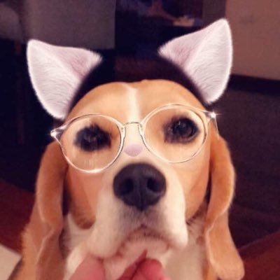 cocoyelnegro's profile picture. 