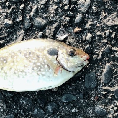 d4L3HsG6C5RhEXs's profile picture. 南高 → 梨大 理教 3年 趣味 : 釣り🎣 スキー⛷&スノボ🏂 燻製🥓 読書📖 気軽にフォローしてください！