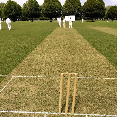 Rioteers Cricket Club Rioteerscricket Twitter