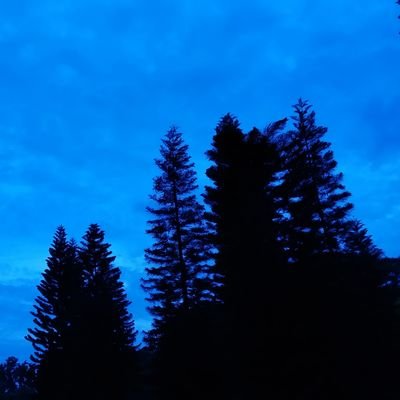 DiegoLee2009's profile picture. 