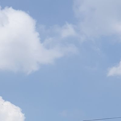 phatnv186's profile picture. 