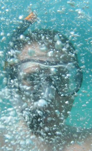 sergiestrela's profile picture. internet-running-fotografia-btt