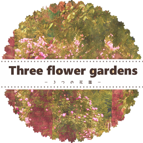 Three flower gardens ***さんのプロフィール画像
