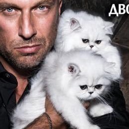 BrendanKoko's profile picture. 