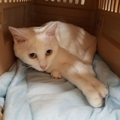 debimoti1023's profile picture. codbo4のフレンド集めるゲーム垢+α
Twitterのシステムいまいちわからないので変な対応してたらすいません( ノД`)…
ブラックアウトのほうが好きです。
好きだから上手いとは限りません。
毎ゲーム目標1キルです。
マルチはくそ雑魚です。