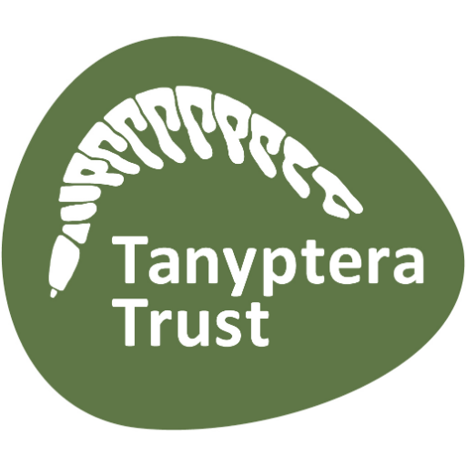 Promoting Invertebrate Recording & Conservation in the North West - Lancashire, Cheshire, Merseyside & Greater Manchester 🐝🐞🕷