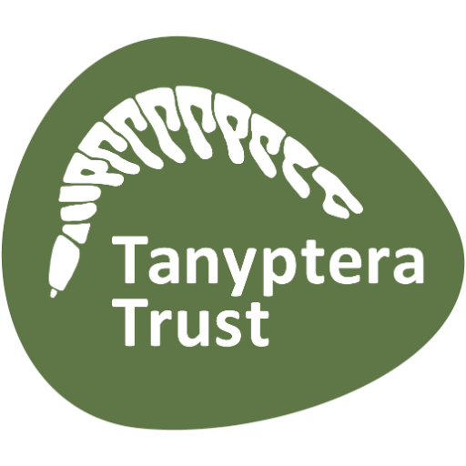 tanyptera Profile Picture