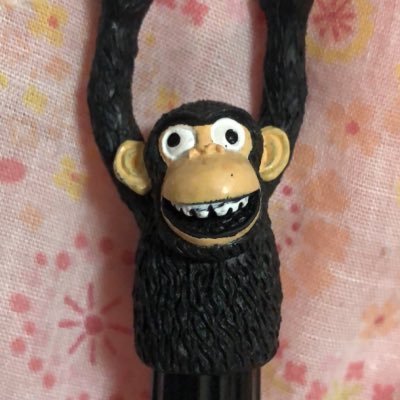 xZPzyFJvO6ZzP1r's profile picture. 