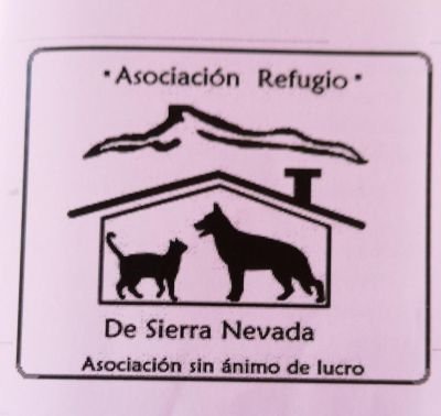 Llevamos desde 2004 ayudando a los animales. Nuestra labor es ayudar a perros y gatos abandonados gracias a recaudaciones y campañas promoviendo su bienestar🐱