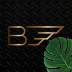 raesbarbara1's profile picture. BFactor Interieur Coach/Styliste/Designer/Art Director/Decorateur/Grafisch Vormgever