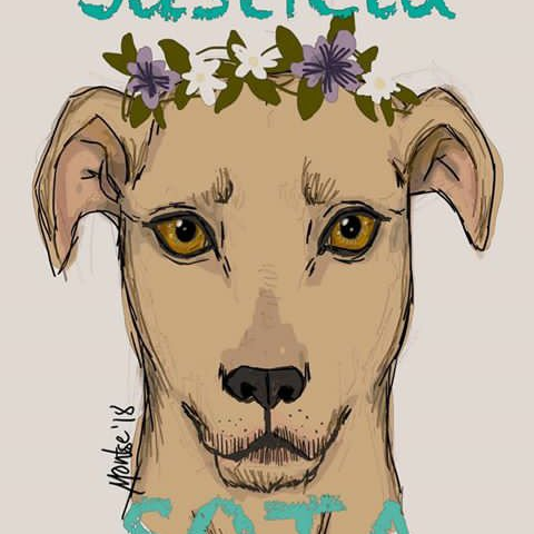 Animalistas. #Antitaurin@s 🐃⛔️ Justicia. Free spirits 🐎 Preocupad@s por el #MedioAmbiente 🌳 #haremosjusticia
#MisiónAbolición