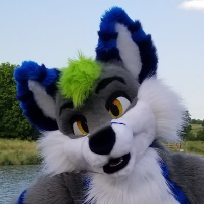 Latch Foxさんのプロフィール画像