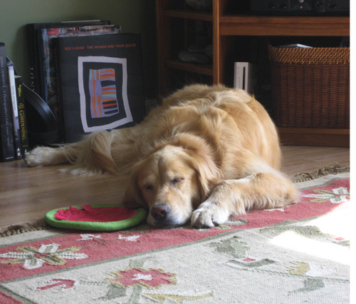 patio12's profile picture. 