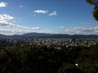会社員です。