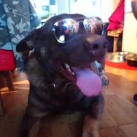 Mozarchy (@hernand55343892) 's Twitter Profile