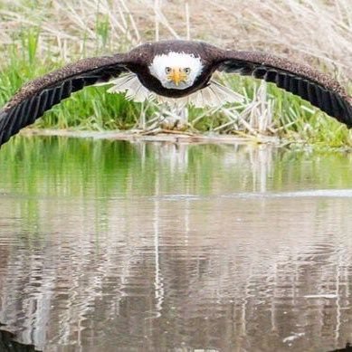 bheshsubedi1's profile picture. pharmacy technicians at CCAC