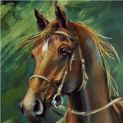 orianasiovidiu's profile picture. 