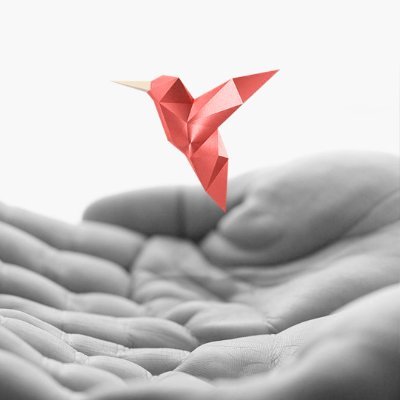 AmandaFundacion's profile picture. La Fundación nace para contribuir al bienestar y la felicidad integral de niños y adolescentes desde el Modelo de Neurociencias Aplicadas a la educación.