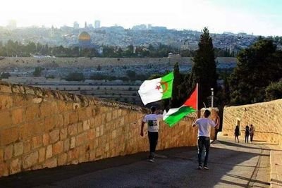 YOrDfMTQwRSOS1P's profile picture. 