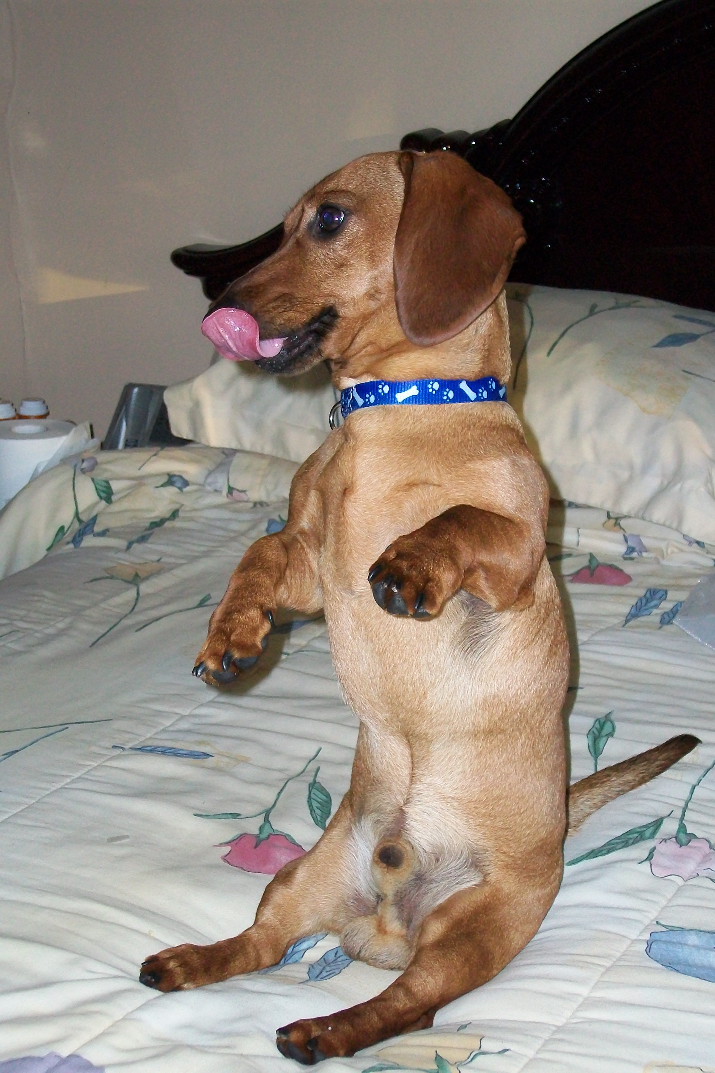 Familia01471832's profile picture. 