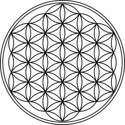 mama8858's profile picture. 