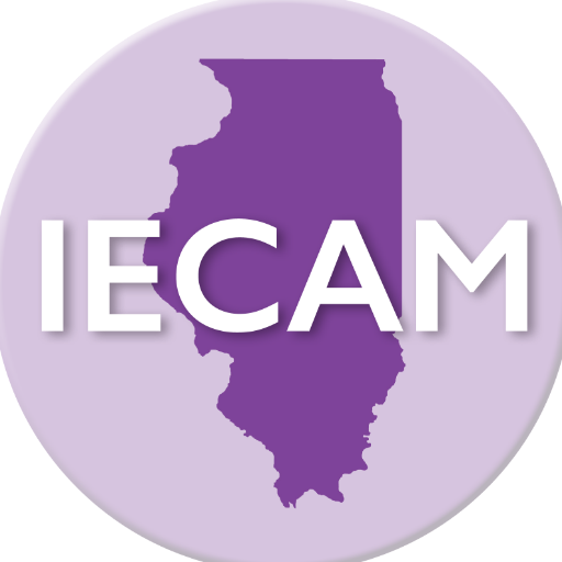 IECAM provides early childhood data and maps to inform communities and strengthen policy in Illinois.