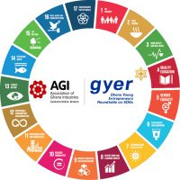 Ghana Young Entrepreneurs Roundtable on SDGs (@gyersdgs) Twitter profile photo