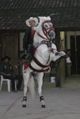 KleberF_Produc's profile picture. 