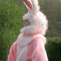 Kate Reardon (@katereardon) 's Twitter Profile Photo