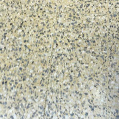 Joe70975113's profile picture. Uhfxyyfutlvut c