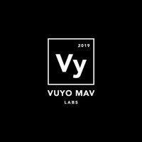 Vuyo Lab(@VuyoLab) 's Twitter Profile Photo