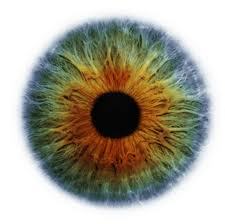 On religion not one religion. Postgrad student of religions - we are just socially constructed nodes on a nexus of love