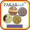 PAKARLab's profile picture. Laboratory dedicated to the discovery and development of next-generation antibiotics from fungal sources with chemical systems biology approaches and strategies