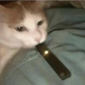 lilredpeeboy's profile picture. 